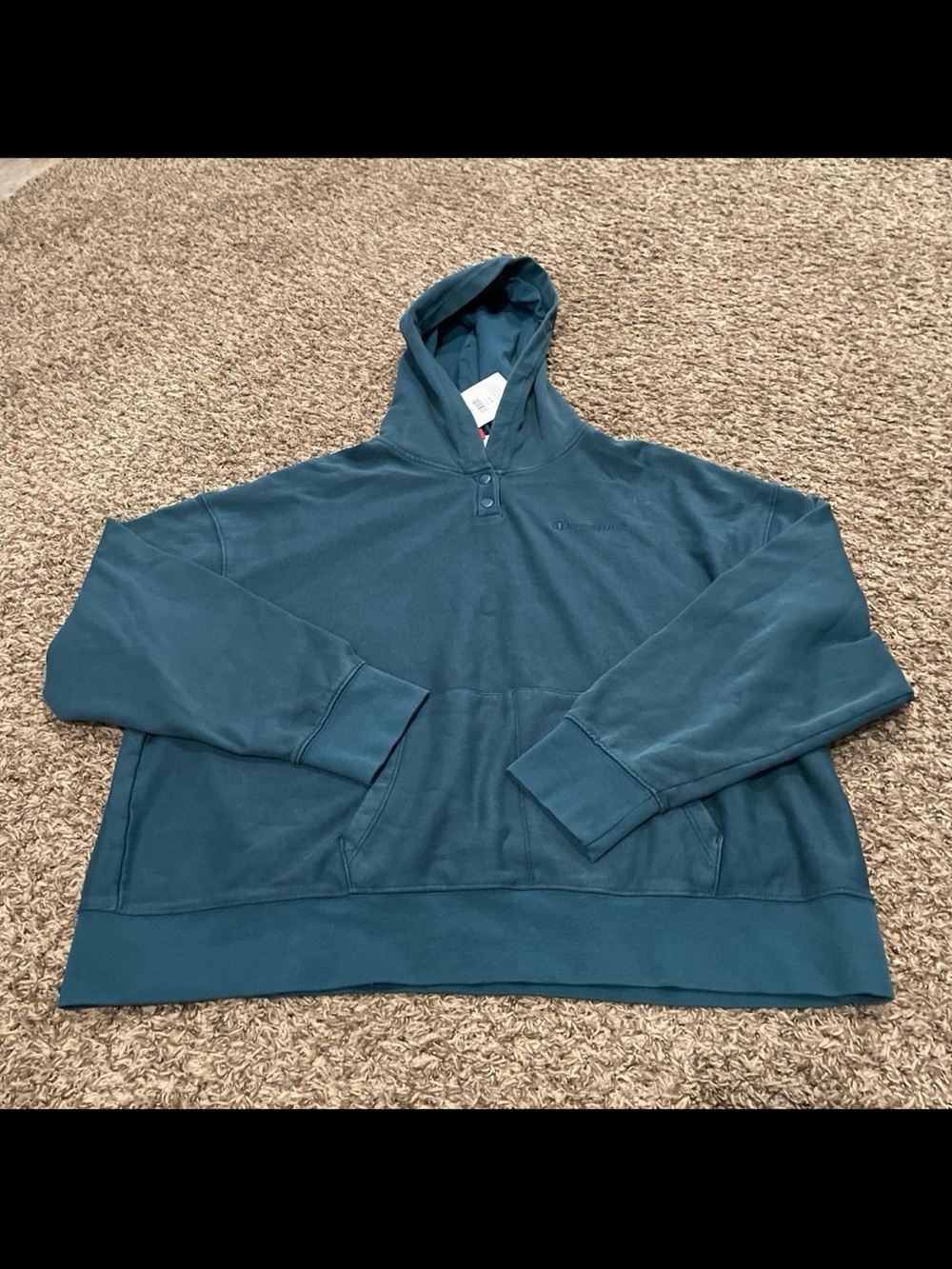 Champion NWT hoodie reflecting pond size 2X